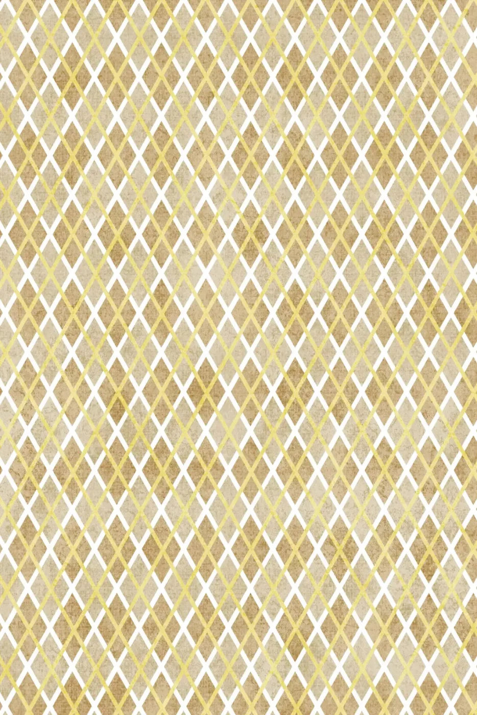 Lee 5X8 Ultracloth ( 60 X 96 Inch ) Backdrop