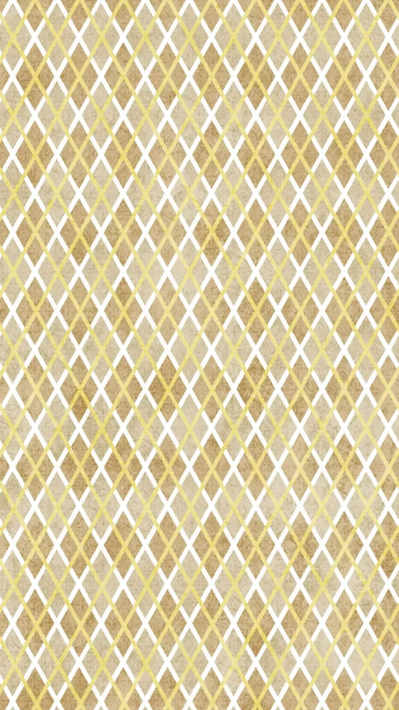 Lee 8X14 Ultracloth ( 96 X 168 Inch ) Backdrop