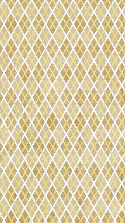 Lee 8X14 Ultracloth ( 96 X 168 Inch ) Backdrop