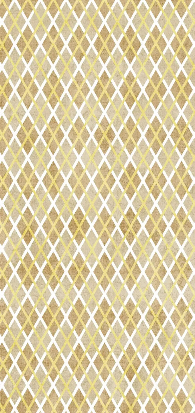 Lee 8X16 Ultracloth ( 96 X 192 Inch ) Backdrop