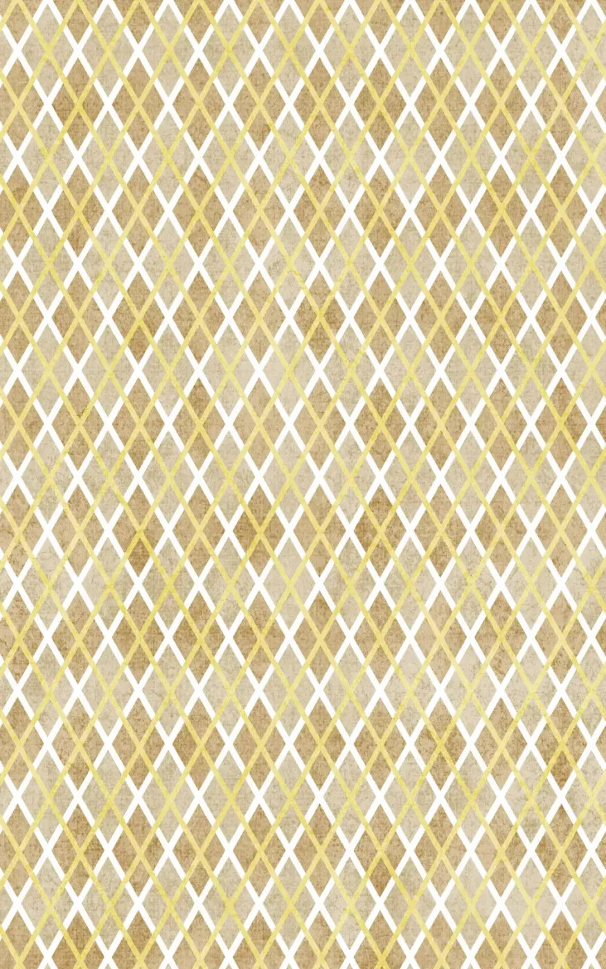 Lee 9X14 Ultracloth ( 108 X 168 Inch ) Backdrop