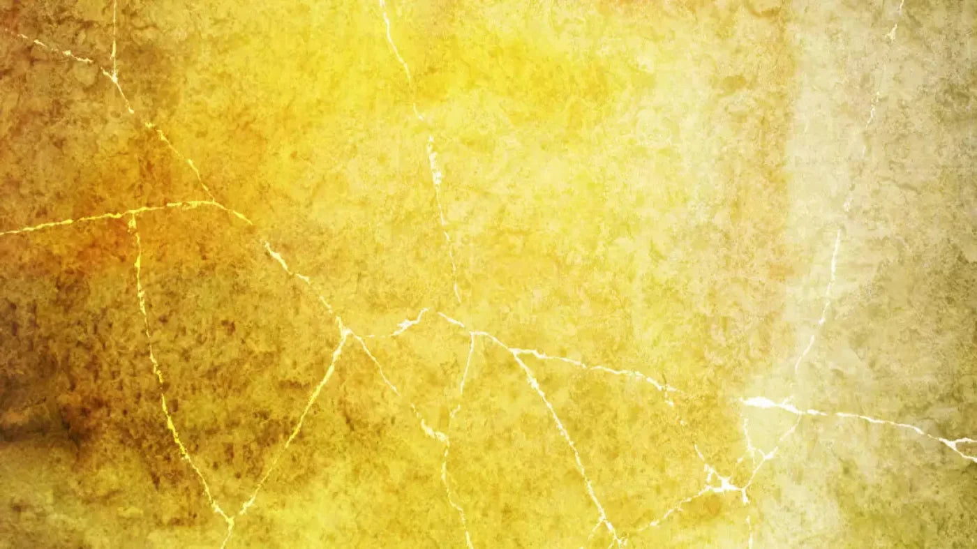 Lellow 14X8 Ultracloth ( 168 X 96 Inch ) Backdrop