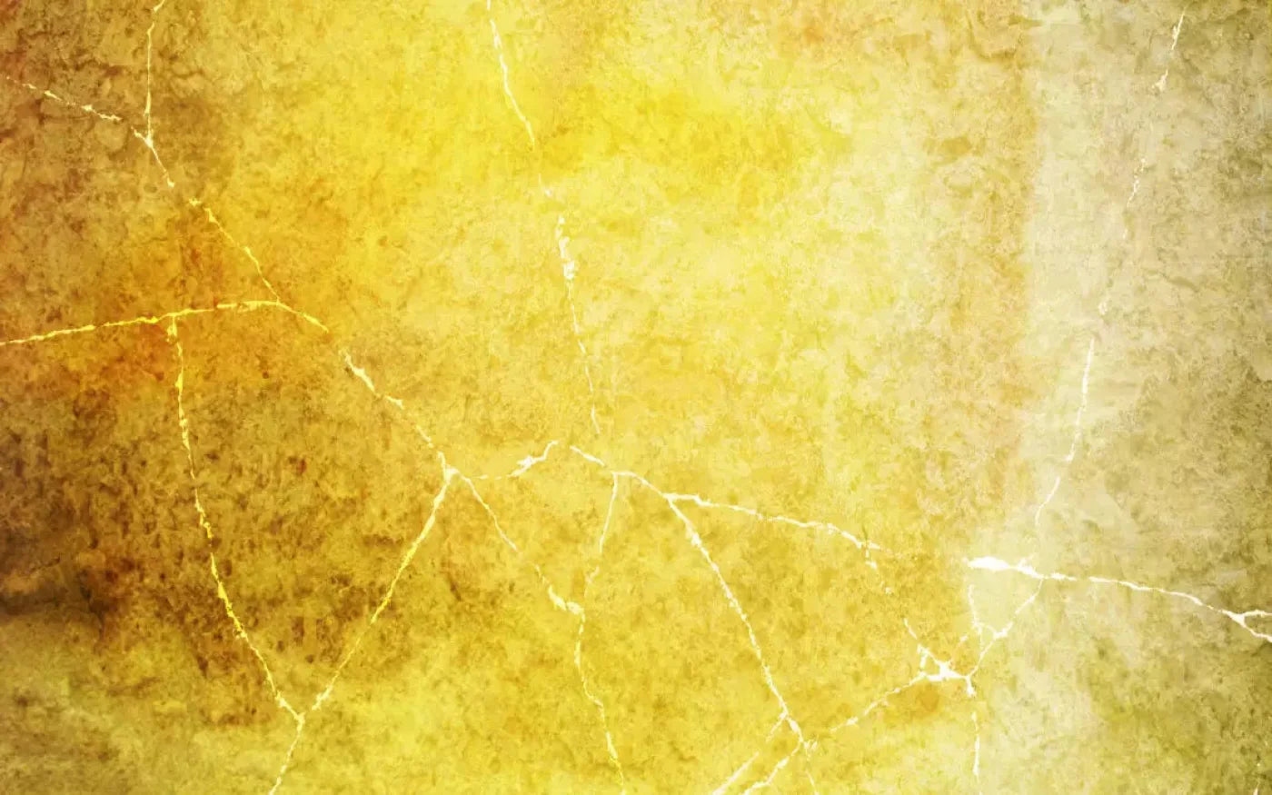 Lellow 14X9 Ultracloth ( 168 X 108 Inch ) Backdrop