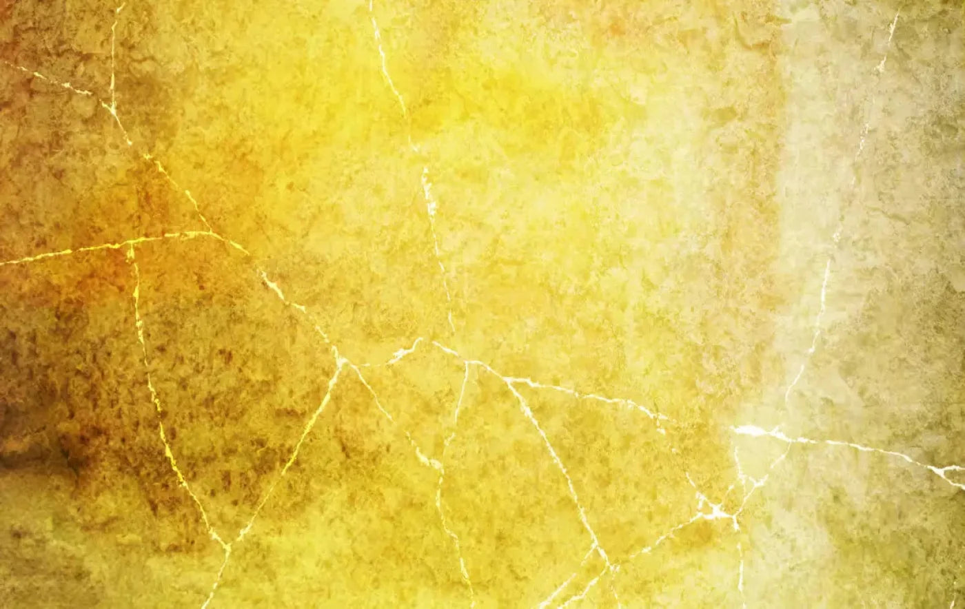 Lellow 16X10 Ultracloth ( 192 X 120 Inch ) Backdrop