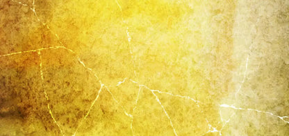 Lellow 16X8 Ultracloth ( 192 X 96 Inch ) Backdrop