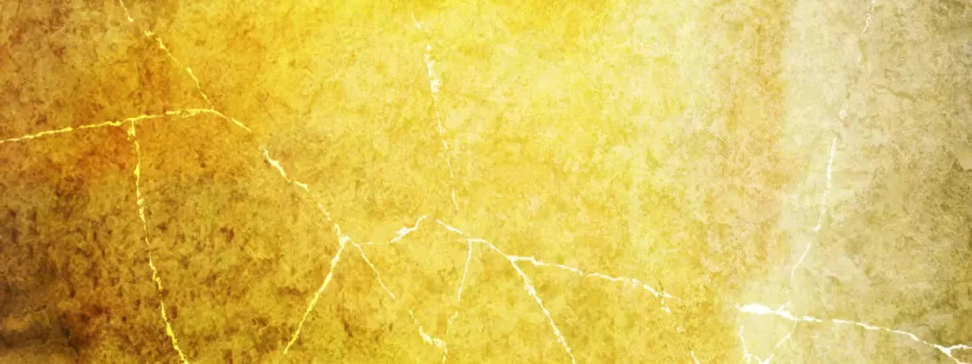 Lellow 20X8 Ultracloth ( 240 X 96 Inch ) Backdrop