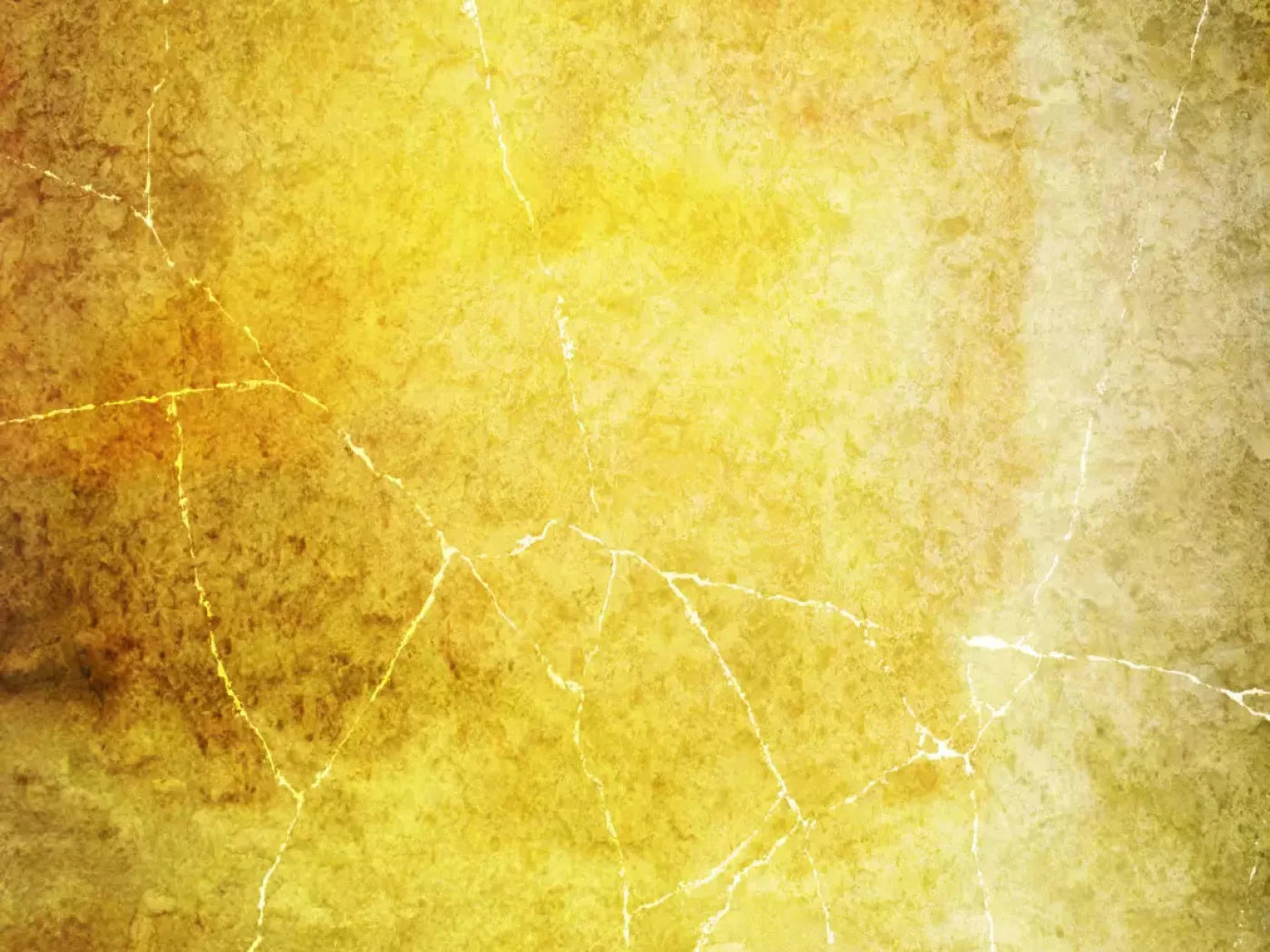 Lellow 68X5 Fleece ( 80 X 60 Inch ) Backdrop