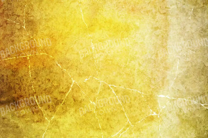 Lellow 8X5 Ultracloth ( 96 X 60 Inch ) Backdrop