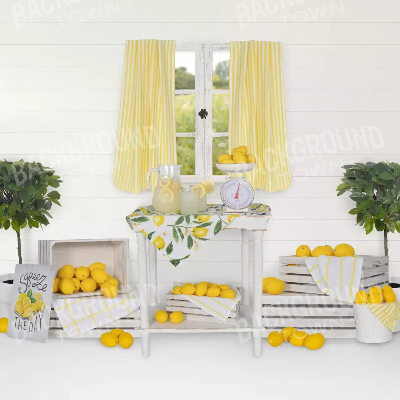 Lemonade Stand 10X10 Ultracloth ( 120 X Inch ) Backdrop