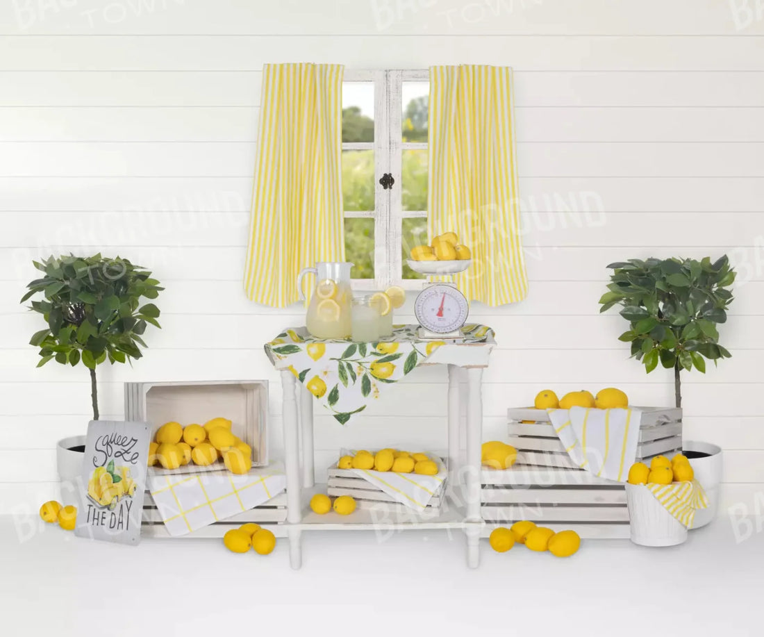 Lemonade Stand 5X42 Fleece ( 60 X 50 Inch ) Backdrop