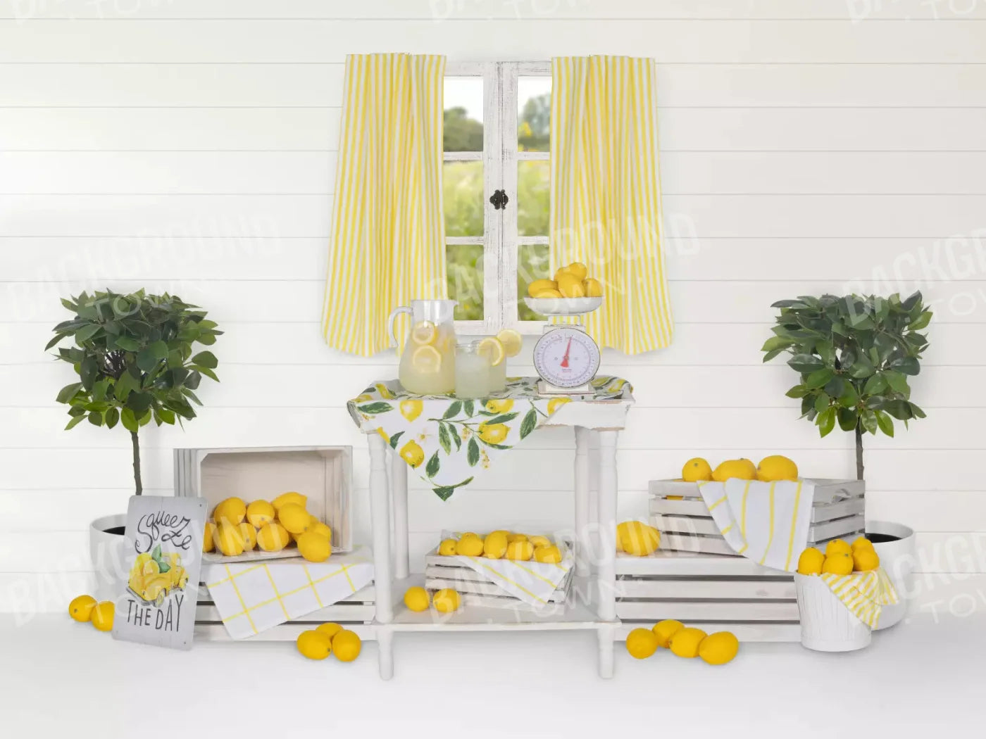 Lemonade Stand 68X5 Fleece ( 80 X 60 Inch ) Backdrop