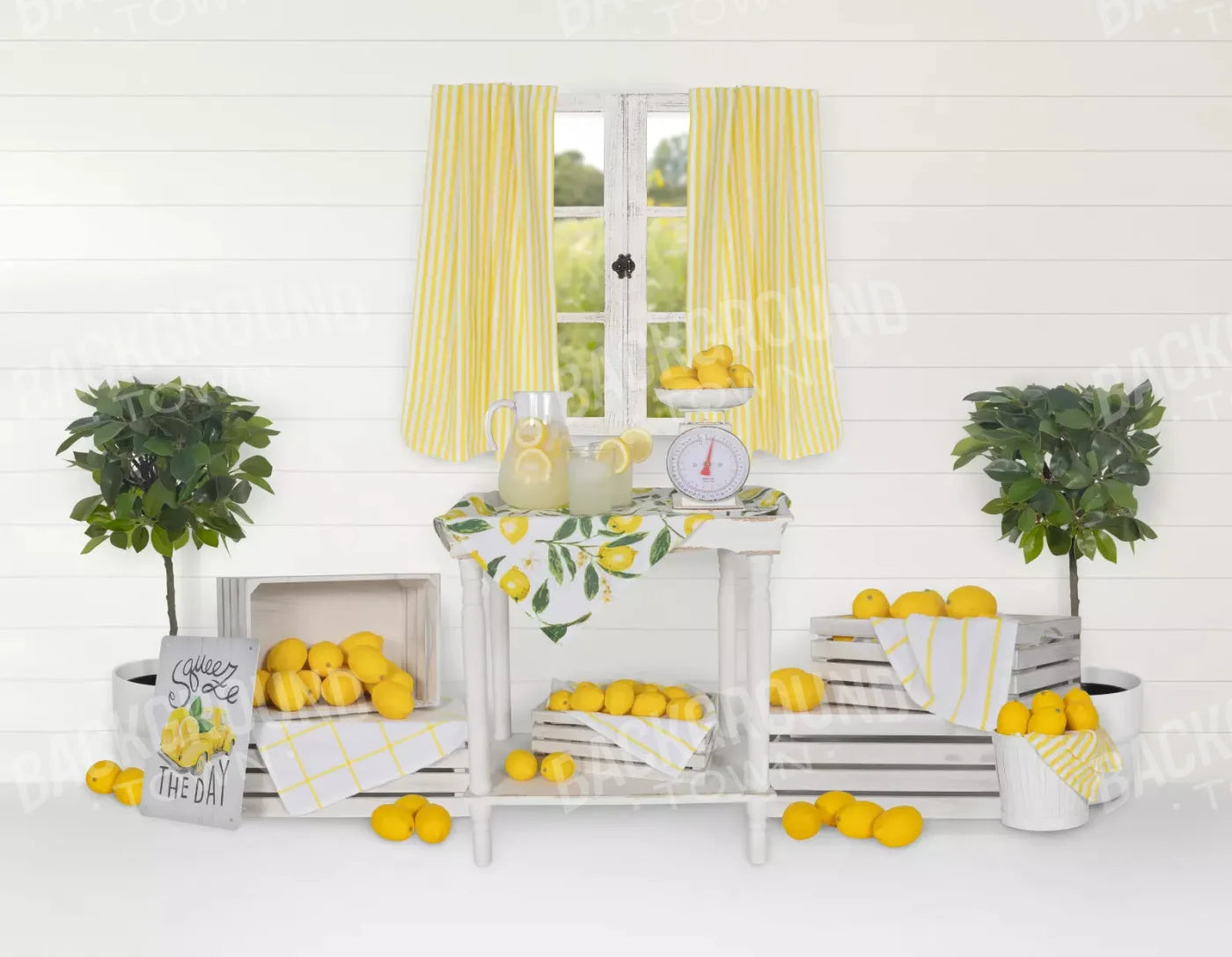 Lemonade Stand 8X6 Fleece ( 96 X 72 Inch ) Backdrop