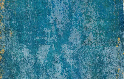 Leo 12X8 Ultracloth ( 144 X 96 Inch ) Backdrop