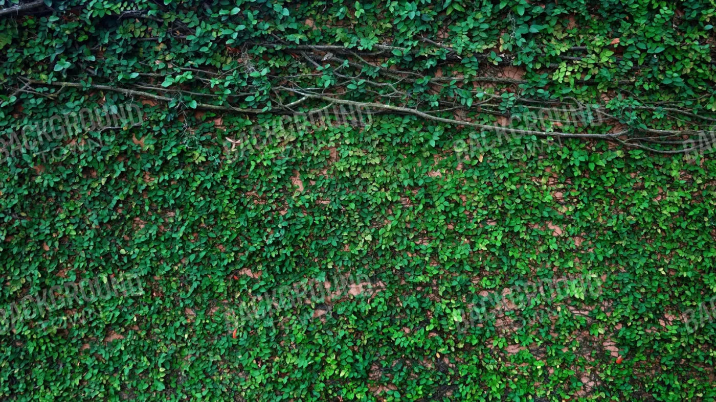 Let It Grow 14X8 Ultracloth ( 168 X 96 Inch ) Backdrop