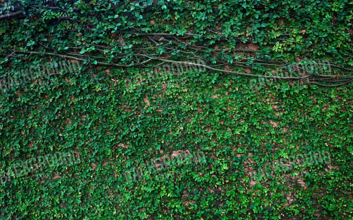Let It Grow 14X9 Ultracloth ( 168 X 108 Inch ) Backdrop
