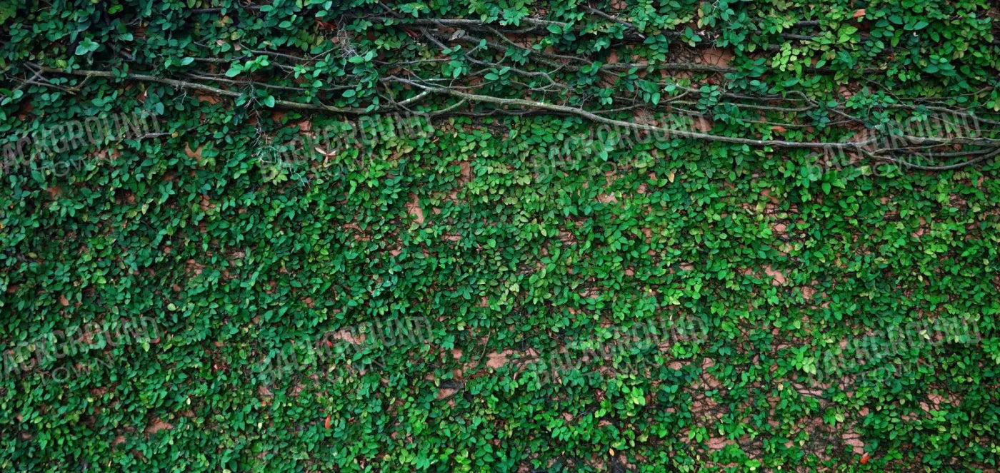 Let It Grow 16X8 Ultracloth ( 192 X 96 Inch ) Backdrop