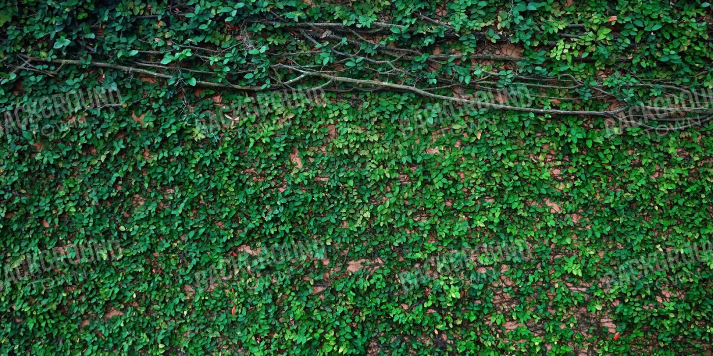 Let It Grow 20X10 Ultracloth ( 240 X 120 Inch ) Backdrop