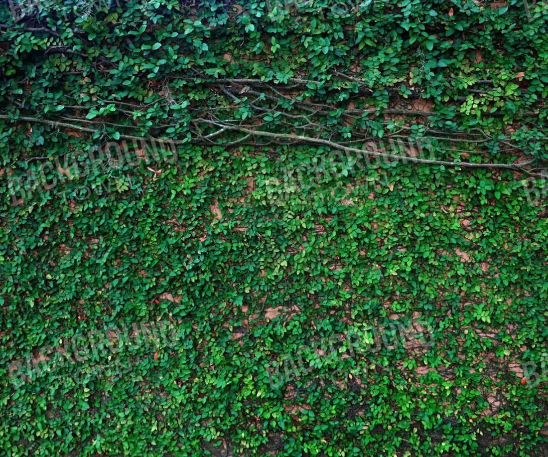 Green Nature Backdrop for Photography