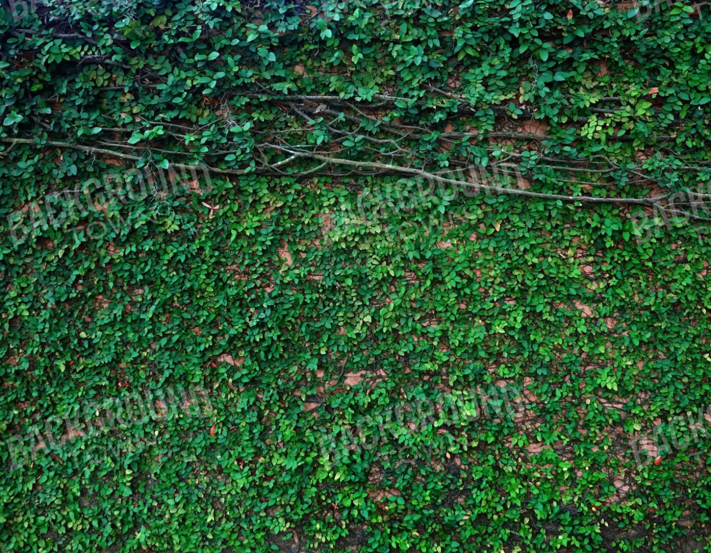 Let It Grow 8X6 Fleece ( 96 X 72 Inch ) Backdrop