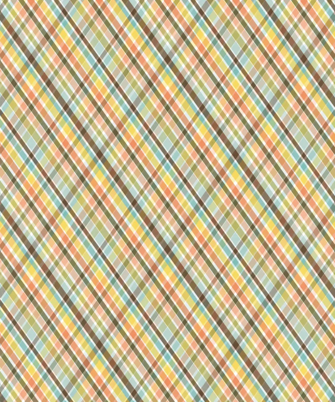 Multi-Color Pattern Backdrop for Photography
