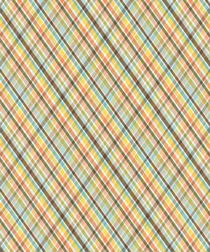 Multi-Color Pattern Backdrop for Photography