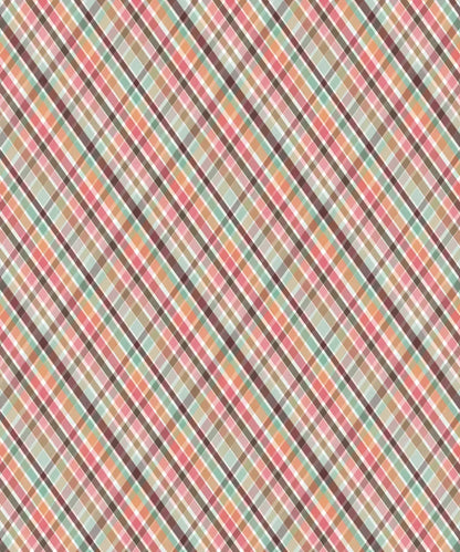 Multi-Color Pattern Backdrop for Photography