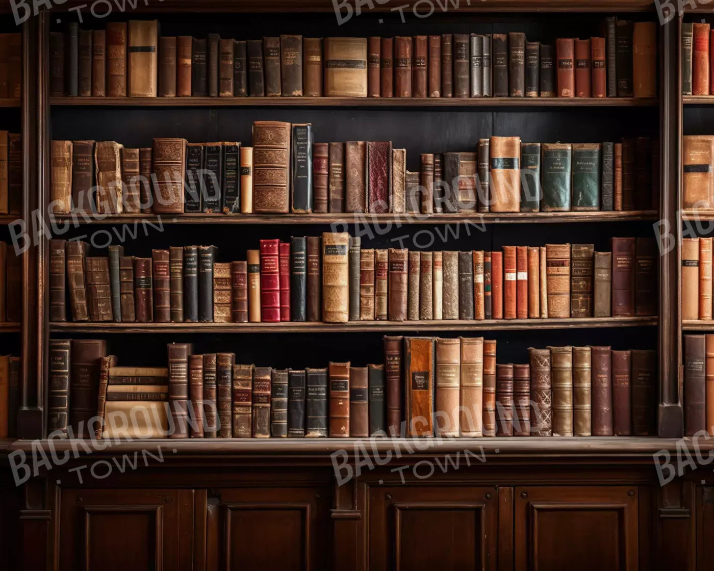 Library Wall 10X8 Fleece ( 120 X 96 Inch ) Backdrop