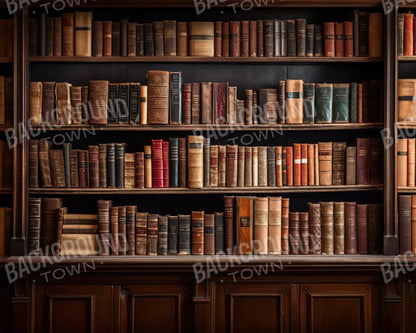 Library Wall 10X8 Fleece ( 120 X 96 Inch ) Backdrop
