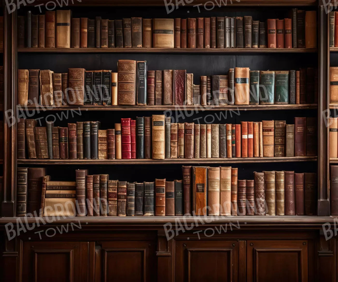 Library Wall 12X10 Ultracloth ( 144 X 120 Inch ) Backdrop