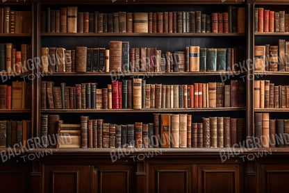 Library Wall 12X8 Ultracloth ( 144 X 96 Inch ) Backdrop