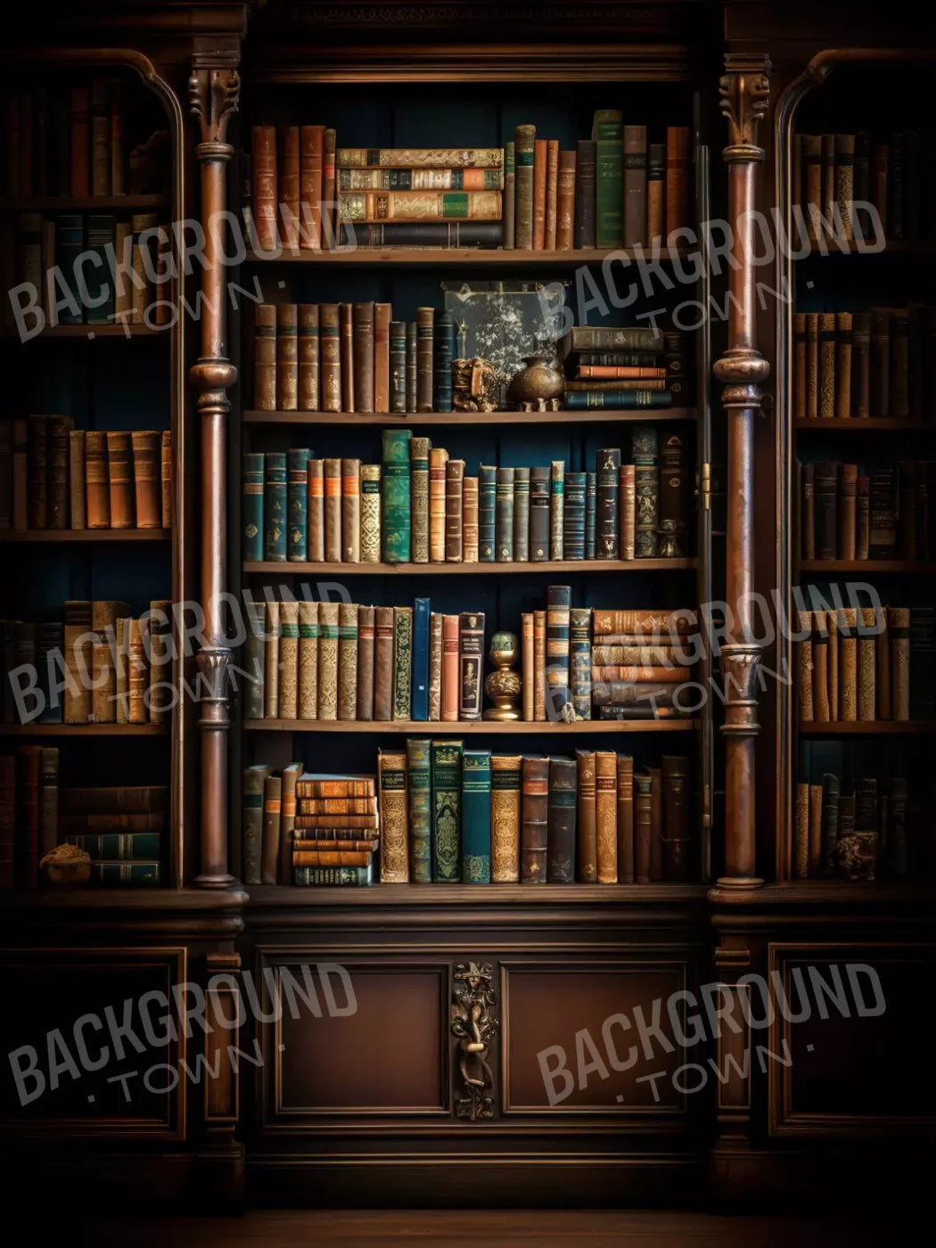 Library Wall Vertical 5X68 Fleece ( 60 X 80 Inch ) Backdrop