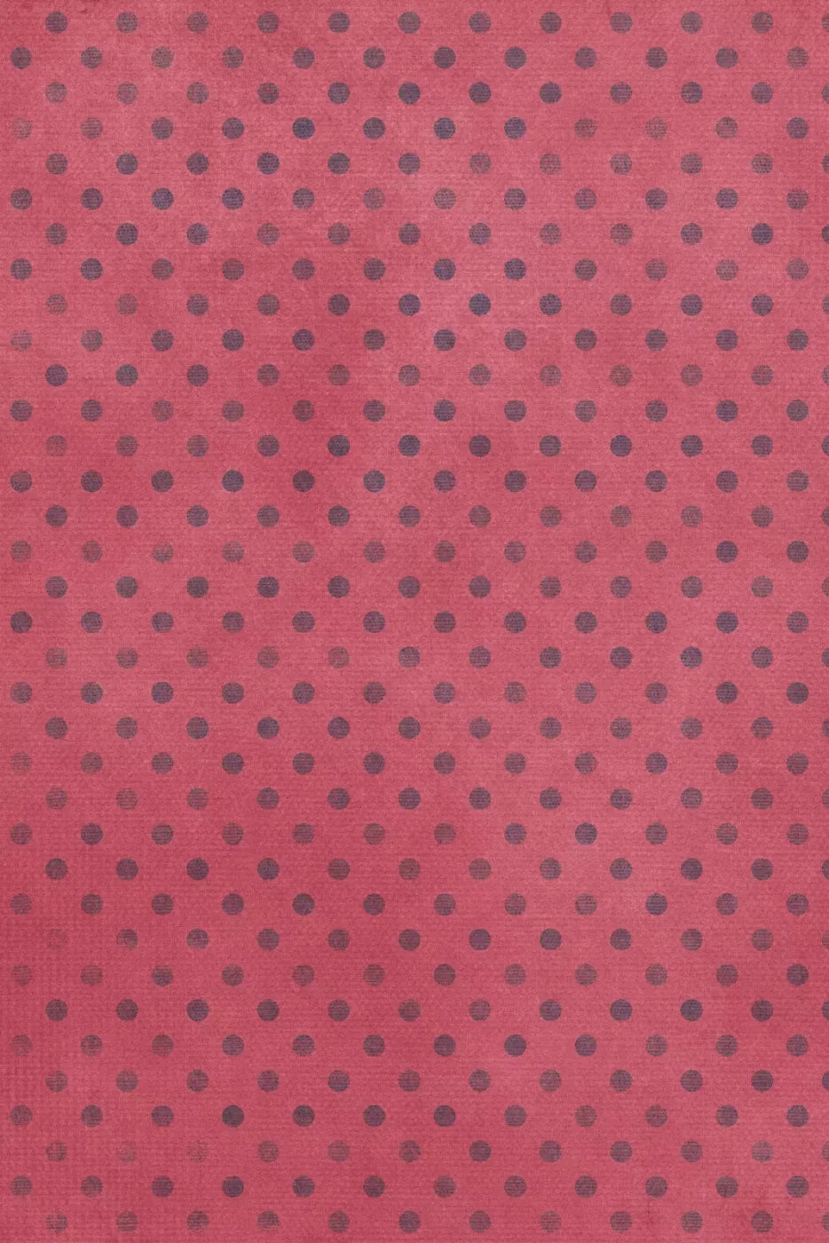 Liddie Backdrop