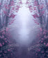 Purple Pink  Backdrop for Photography