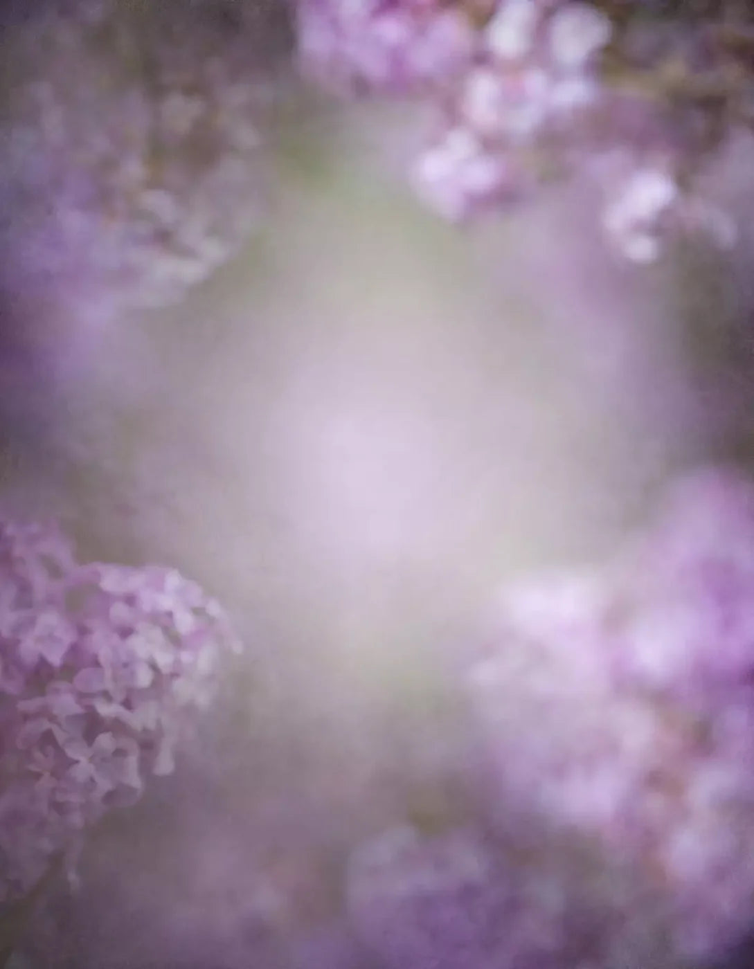 Lilac Dreams 6X8 Fleece ( 72 X 96 Inch ) Backdrop