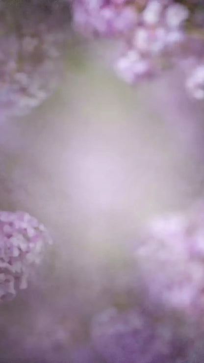 Lilac Dreams 8X14 Ultracloth ( 96 X 168 Inch ) Backdrop