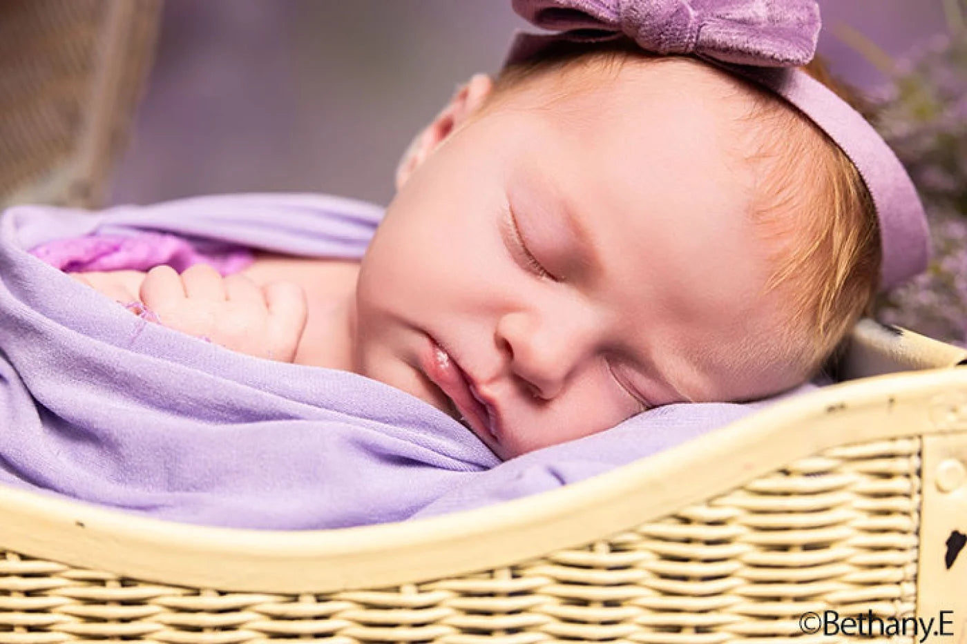 Lilac Dreams Backdrop
