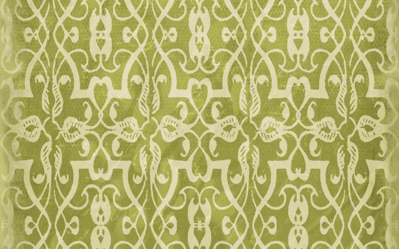 Lime 14X9 Ultracloth ( 168 X 108 Inch ) Backdrop