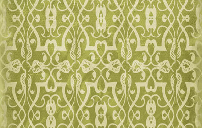 Lime 16X10 Ultracloth ( 192 X 120 Inch ) Backdrop