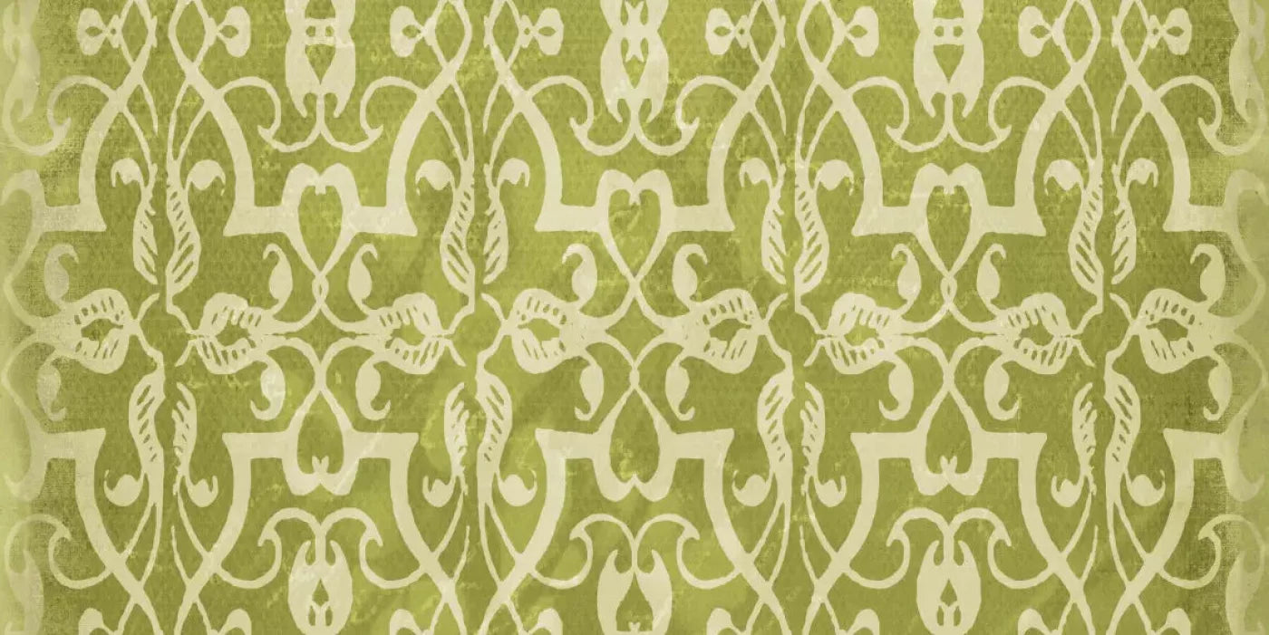 Lime 20X10 Ultracloth ( 240 X 120 Inch ) Backdrop