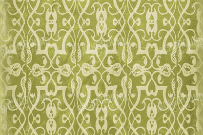 Lime 8X5 Ultracloth ( 96 X 60 Inch ) Backdrop