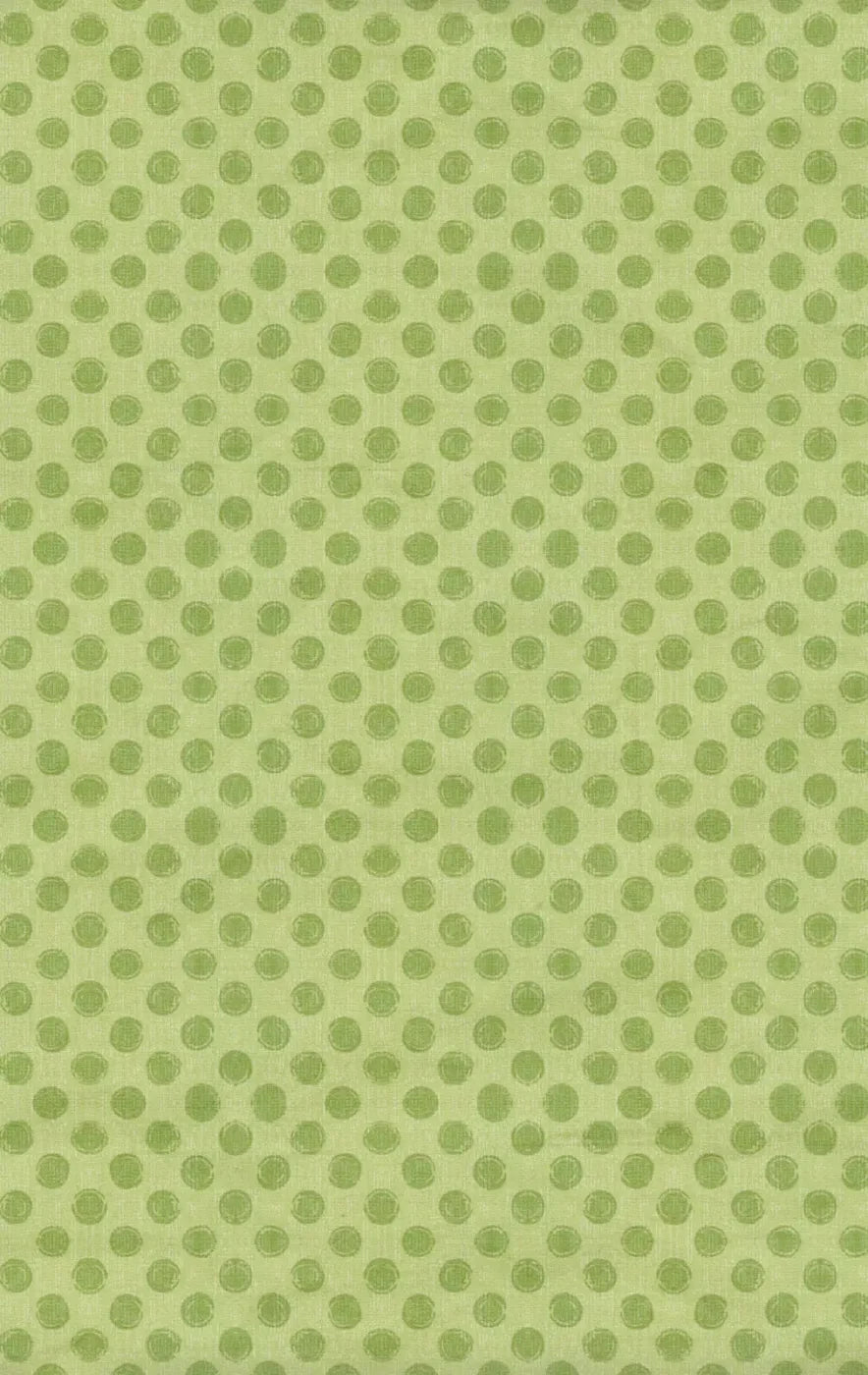 Lime Delight 10X16 Ultracloth ( 120 X 192 Inch ) Backdrop
