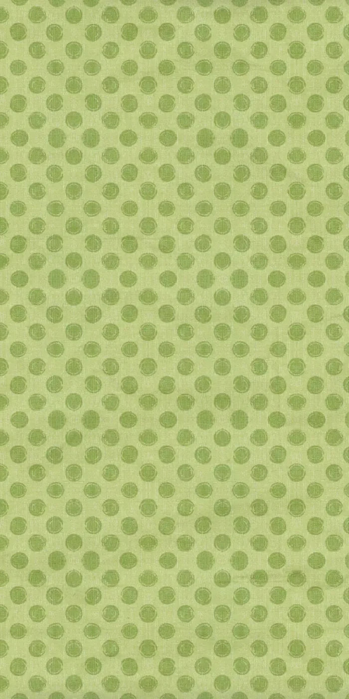 Lime Delight 10X20 Ultracloth ( 120 X 240 Inch ) Backdrop