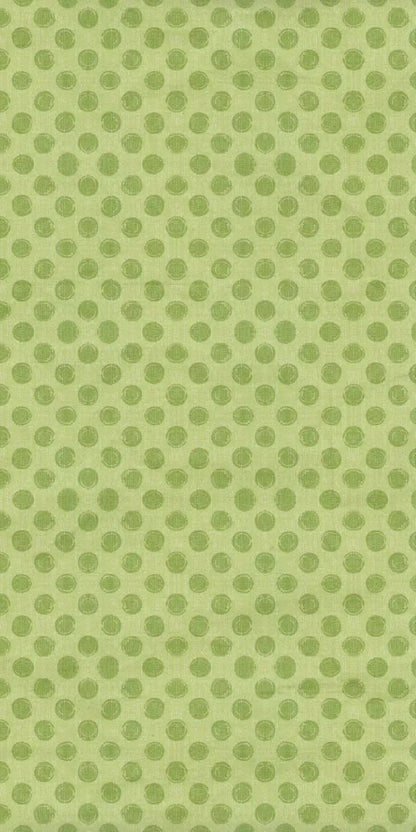 Lime Delight 10X20 Ultracloth ( 120 X 240 Inch ) Backdrop