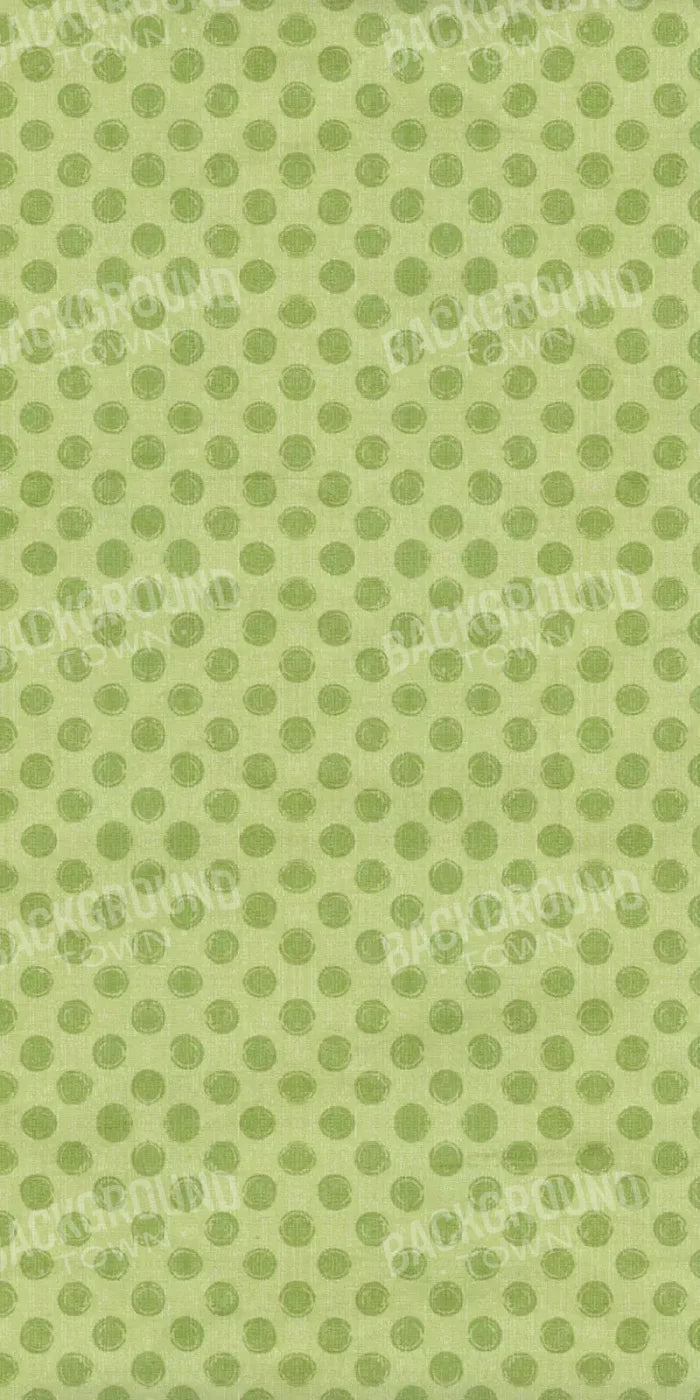 Lime Delight 10X20 Ultracloth ( 120 X 240 Inch ) Backdrop
