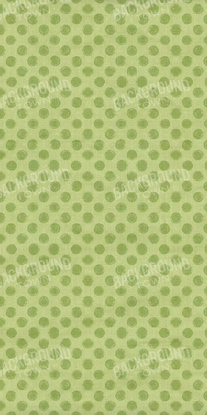 Lime Delight 10X20 Ultracloth ( 120 X 240 Inch ) Backdrop