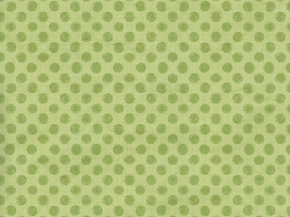Lime Delight 10X8 Fleece ( 120 X 96 Inch ) Backdrop