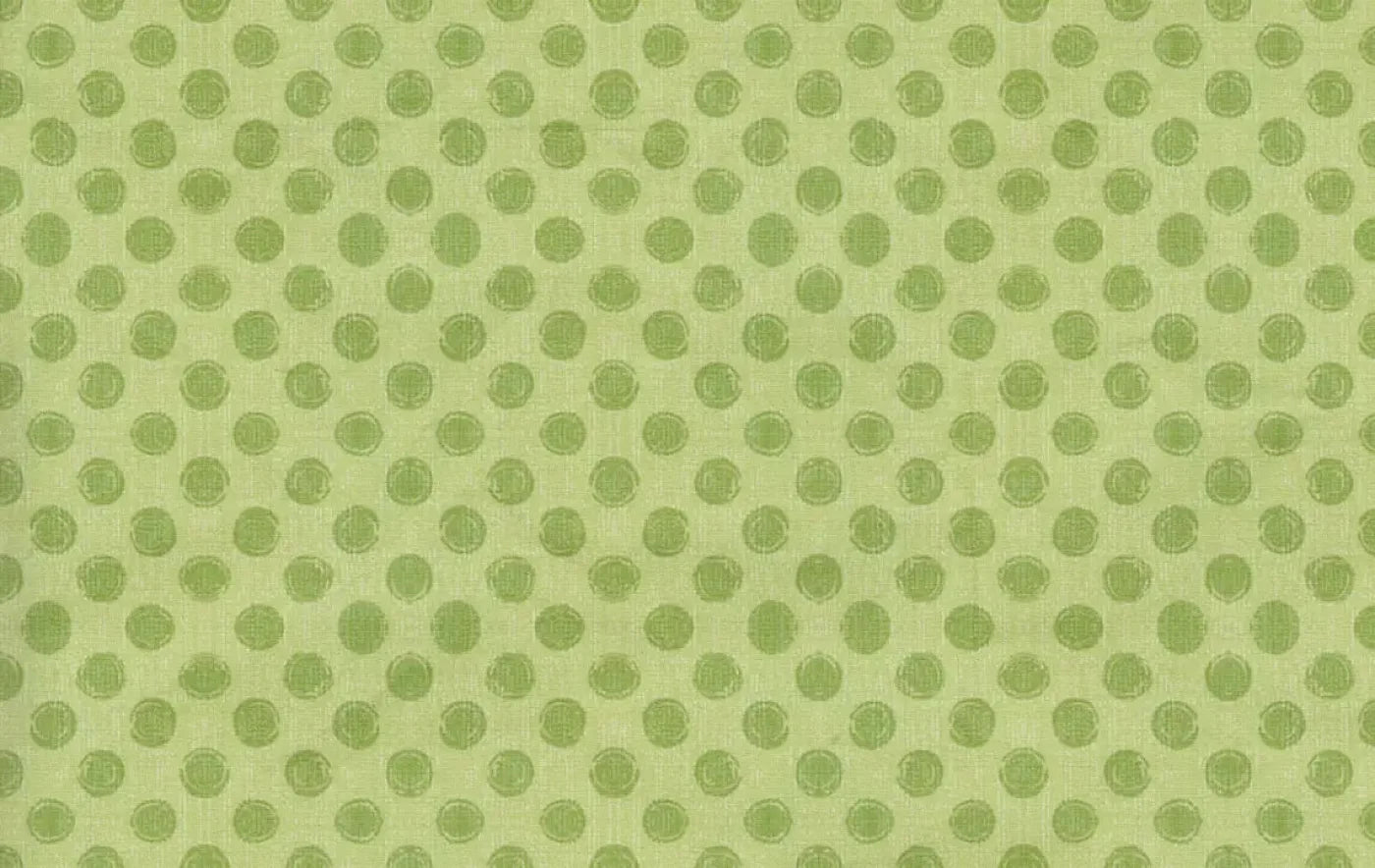 Lime Delight 16X10 Ultracloth ( 192 X 120 Inch ) Backdrop