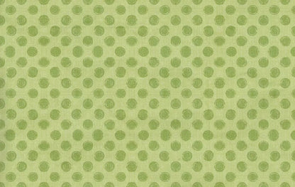 Lime Delight 16X10 Ultracloth ( 192 X 120 Inch ) Backdrop
