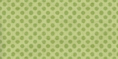 Lime Delight 20X10 Ultracloth ( 240 X 120 Inch ) Backdrop
