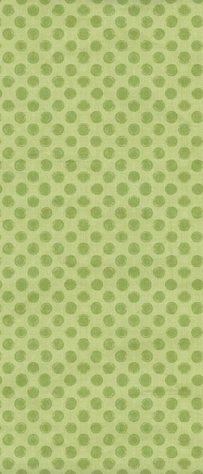 Lime Delight 5X12 Ultracloth For Westcott X-Drop ( 60 X 144 Inch ) Backdrop